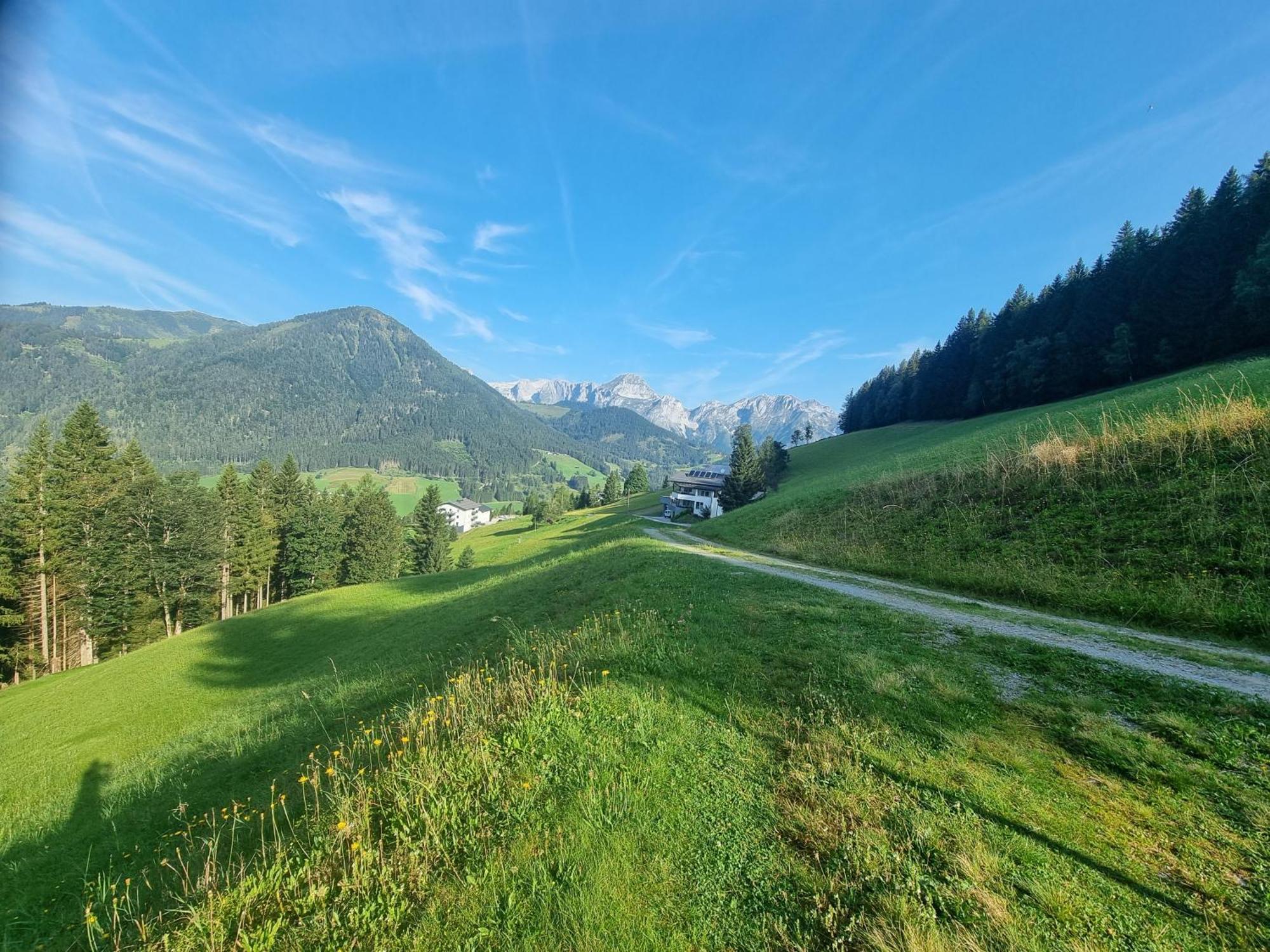Buttermilchalm Bed & Breakfast Sankt Martin am Tennengebirge Eksteriør bilde